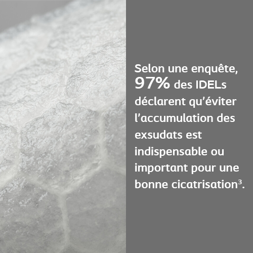 Biatain® Fiber
